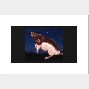 Agouti Hooded Rat Stargazing Posters and Art